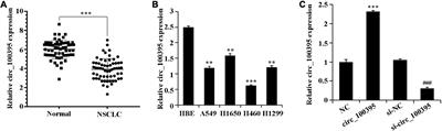 CircRNA_100395 Carried by Exosomes From Adipose-Derived Mesenchymal Stem Cells Inhibits the Malignant Transformation of Non-Small Cell Lung Carcinoma Through the miR-141-3p-LATS2 Axis